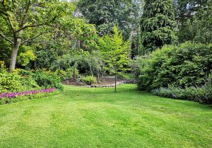 Optimiser l'expérience du jardin à Bourg-Madame